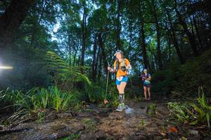 BIB: 
                            <button type="button" onclick="openModal(19242059)" class="btn btn-primary btn-sm float-right btn-popup" data-toggle="modal" data-target=".modal-high-quality">
                        <i class="fas fa-shopping-cart"></i> Add to Cart
                    </button>
                                            <button type="button" onclick="isThisMe(19242059, true)" class="btn btn-success btn-sm float-right btn-popup btn-isme hidden" data-toggle="tooltip" data-placement="bottom" title="นี่คือรูปของคุณใช่ไหม คลิกที่นี่เพื่อเอาเข้าอัลบั้ม">
                        <i class="fas fa-plus"></i> Add to album
                    </button>
                    <button type="button" onclick="isThisMe(19242059, false)" class="btn btn-warning btn-sm float-right btn-popup btn-isnotme hidden">
                        <i class="fas fa-ban"></i> Remove from album
                    </button>